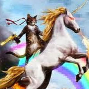 Meet your Posher, Connor